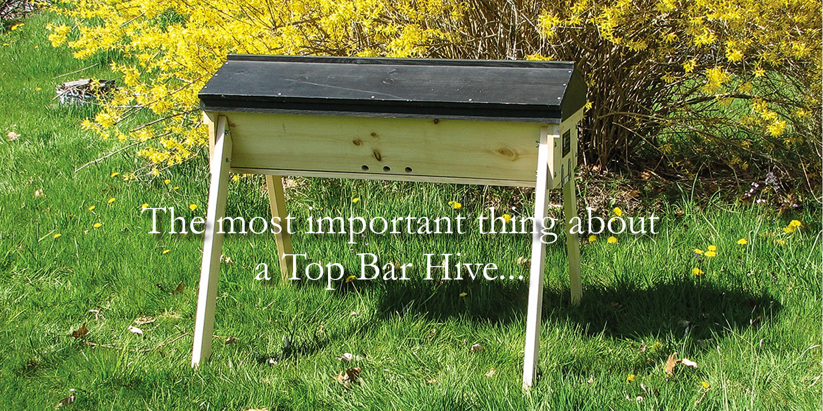 The most important thing about a top bar hive.