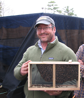 3# package bees_Natural wax from top bar hive